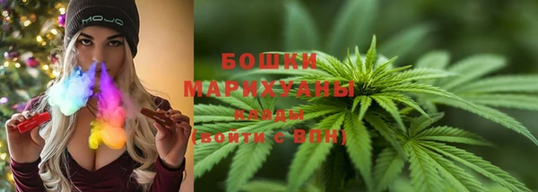 молекула духа Белоозёрский