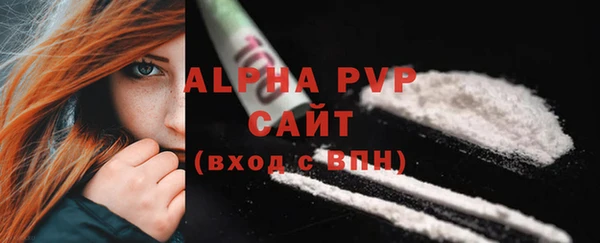 молекула духа Белоозёрский