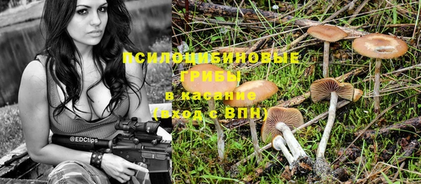 молекула духа Белоозёрский
