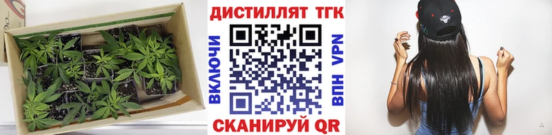 купить наркоту  Борзя  ТГК гашишное масло 